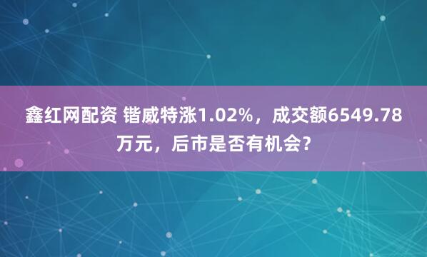 鑫红网配资 锴威特涨1.02%，成交额6549.78万元，后市是否有机会？