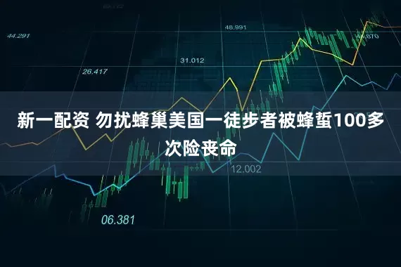新一配资 勿扰蜂巢　美国一徒步者被蜂蜇100多次险丧命